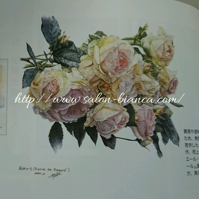 f:id:salon_bianca:20160415002653j:image f:id:salon_bianca:20160415002653j:image