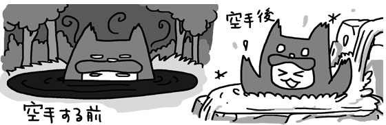 f:id:salucoro:20140502063546j:plain