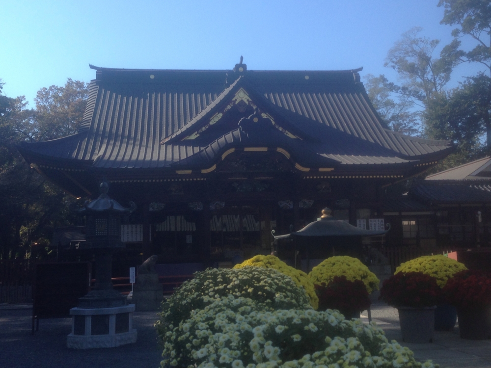 f:id:samezaru:20141029191320j:plain f:id:samezaru:20141029191320j:plain