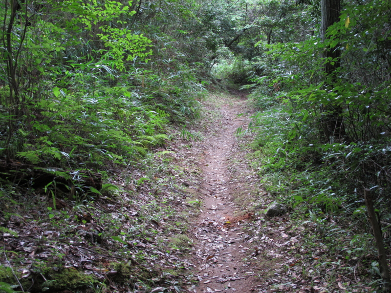 f:id:sammy-take:20110815134749j:image:w360