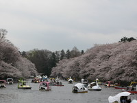 f:id:samso:20070331140407j:image