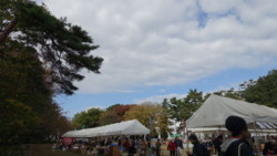 f:id:samso:20141116101010j:image