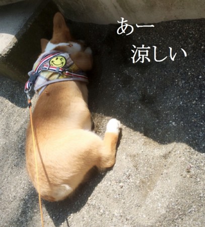 f:id:sanax:20150427101824j:plain f:id:sanax:20150427101824j:plain