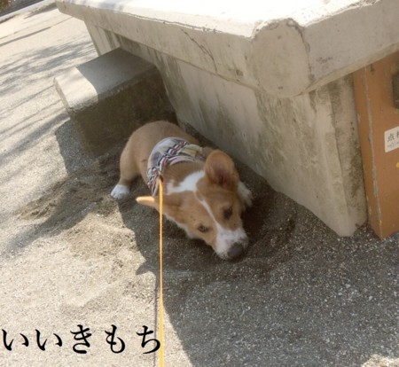 f:id:sanax:20150427102145j:plain f:id:sanax:20150427102145j:plain