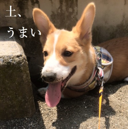 f:id:sanax:20150428105017j:plain f:id:sanax:20150428105017j:plain