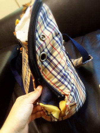 f:id:sanax:20150430081547j:plain f:id:sanax:20150430081547j:plain