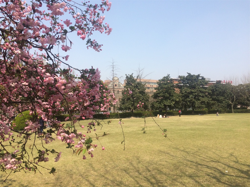 f:id:sandgotinmyeye:20160328155117j:image f:id:sandgotinmyeye:20160328155117j:image