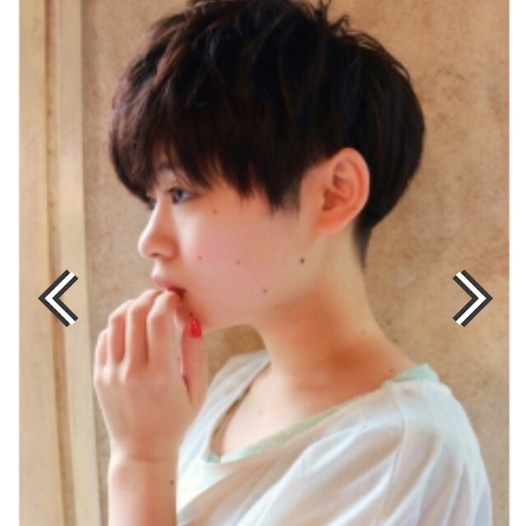 f:id:sandonigifu:20150812123804j:image f:id:sandonigifu:20150812123804j:image