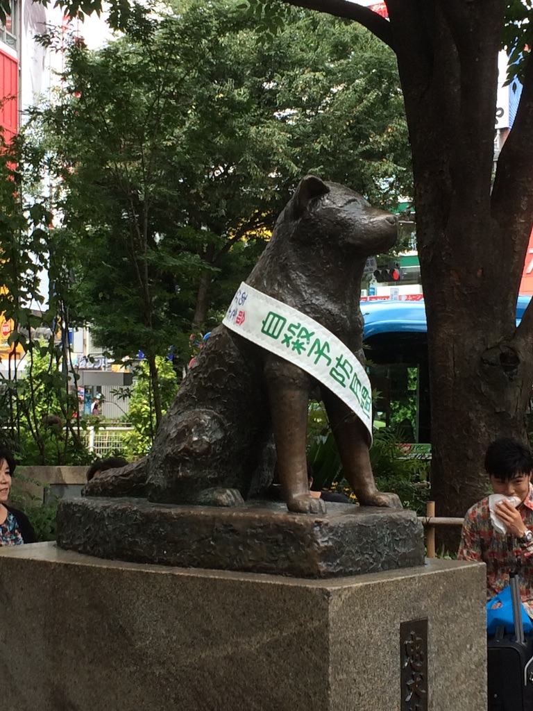 f:id:sandonigifu:20150908220844j:image f:id:sandonigifu:20150908220844j:image