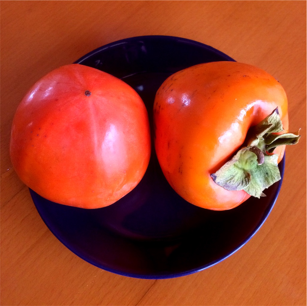 f:id:sandonigifu:20151111010147j:image f:id:sandonigifu:20151111010147j:image