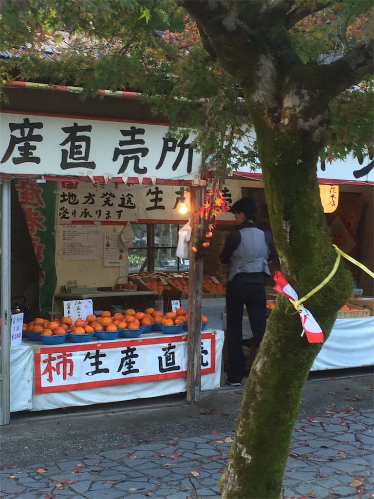 f:id:sandonigifu:20151111011514j:image f:id:sandonigifu:20151111011514j:image