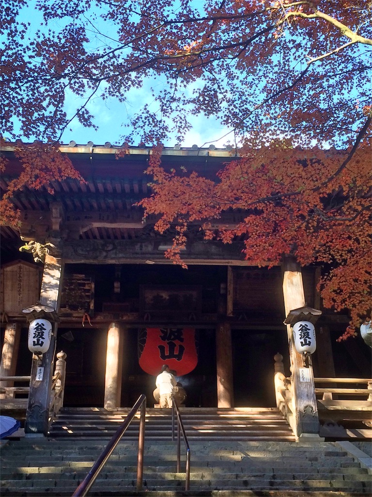 f:id:sandonigifu:20151112085528j:image f:id:sandonigifu:20151112085528j:image