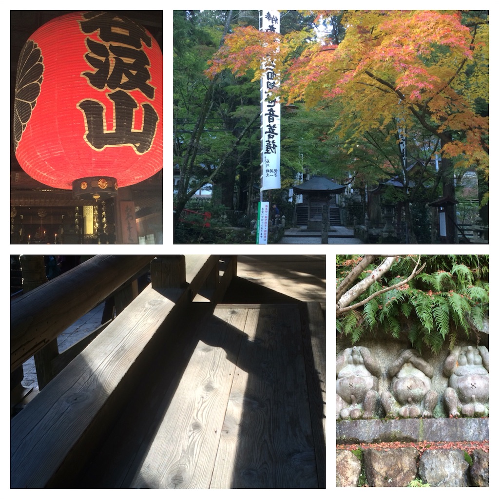 f:id:sandonigifu:20151112090438j:image f:id:sandonigifu:20151112090438j:image