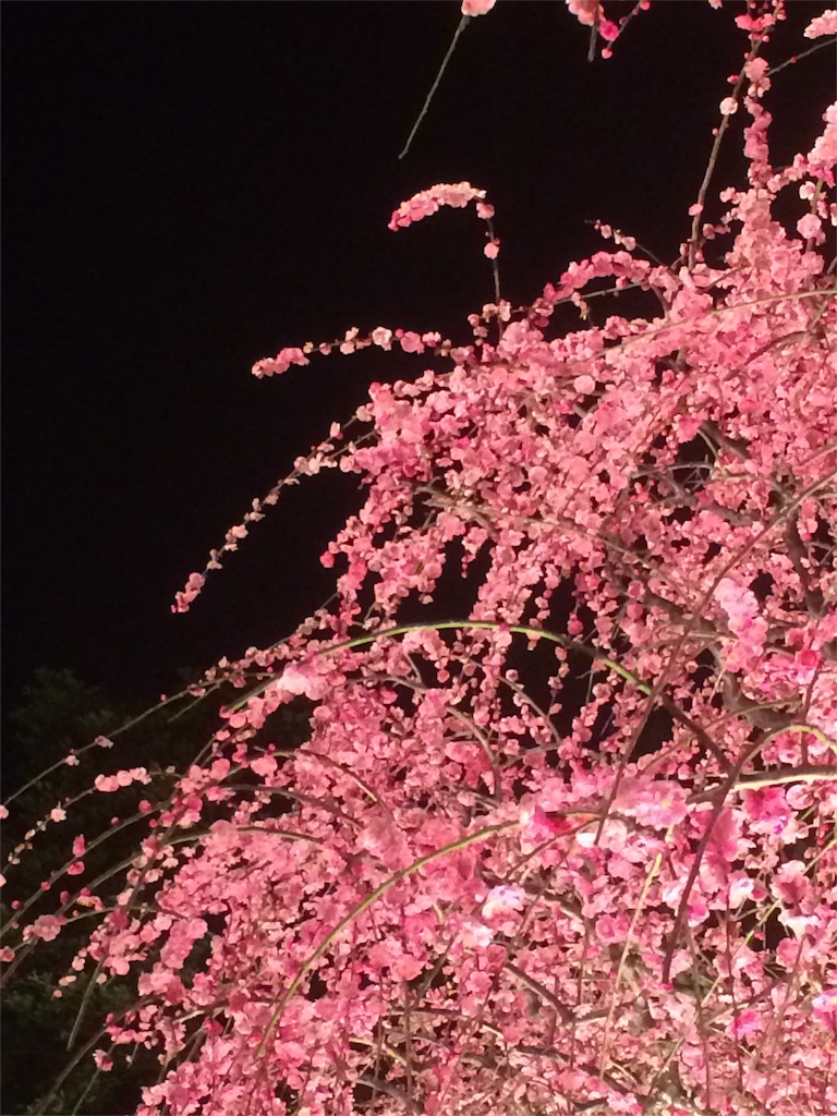 f:id:sandonigifu:20160229061954j:image f:id:sandonigifu:20160229061954j:image