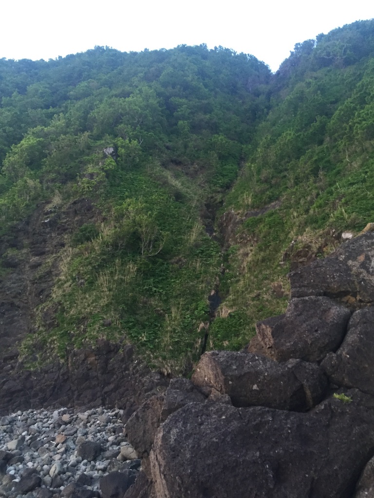f:id:sankyoudaikun:20160521221445j:image f:id:sankyoudaikun:20160521221445j:image
