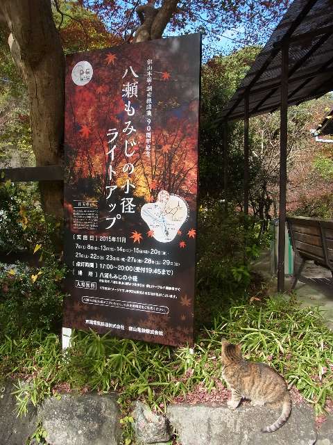 f:id:sanpogarden:20151117123931j:plain f:id:sanpogarden:20151117123931j:plain