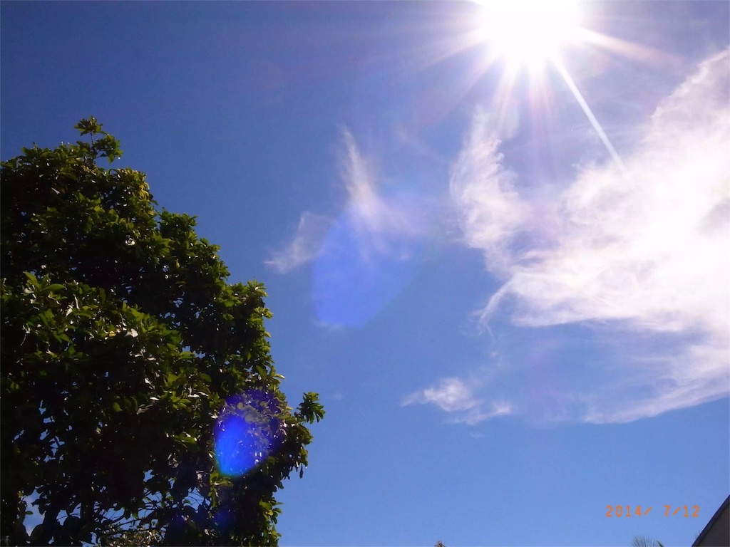 f:id:sanporyu:20151129151657j:image f:id:sanporyu:20151129151657j:image