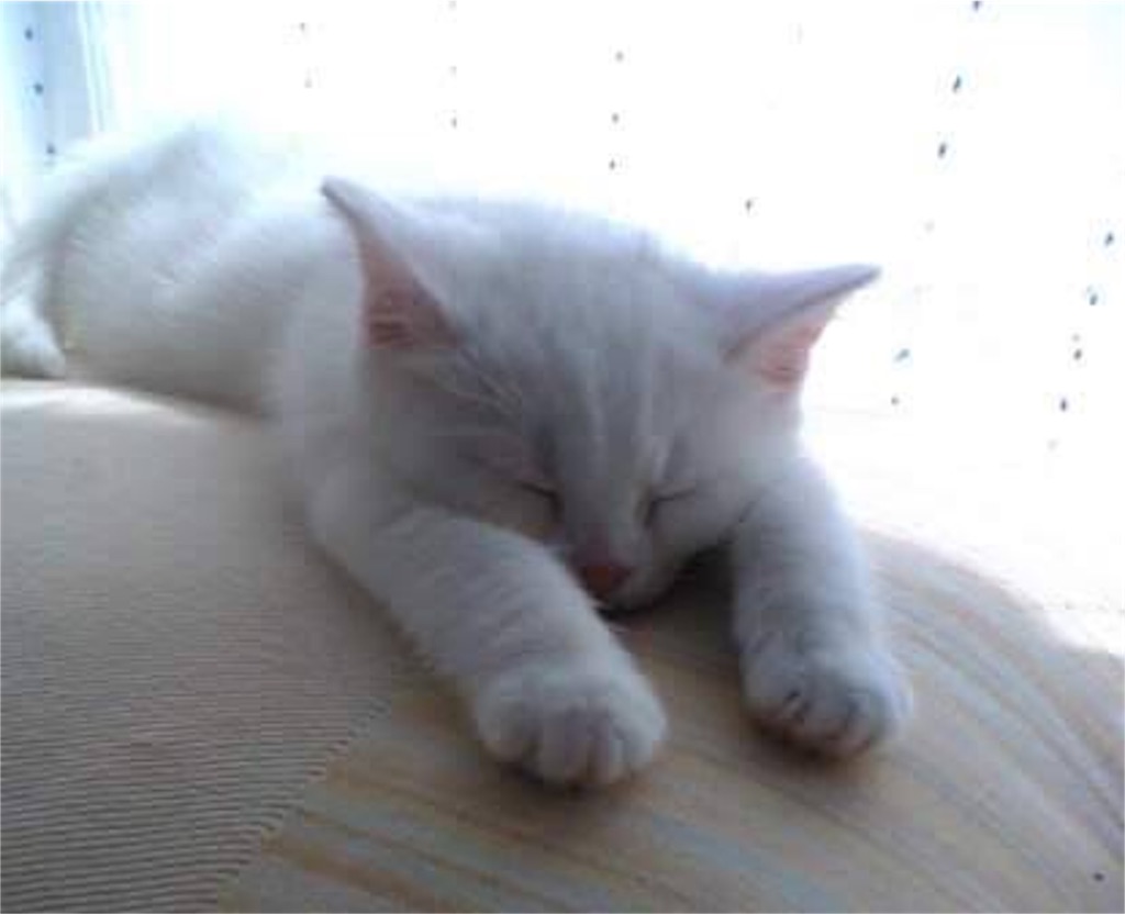 f:id:sanporyu:20151129152423j:image f:id:sanporyu:20151129152423j:image