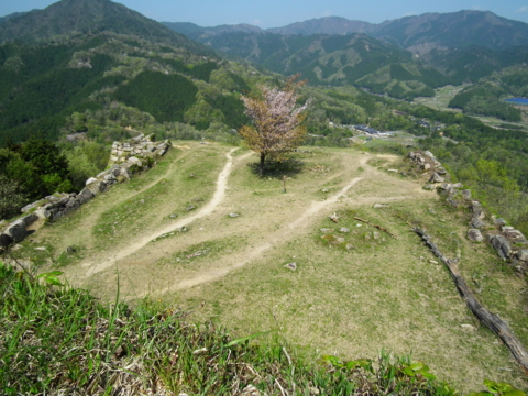 f:id:sanraku2:20100530111546j:image f:id:sanraku2:20100530111546j:image