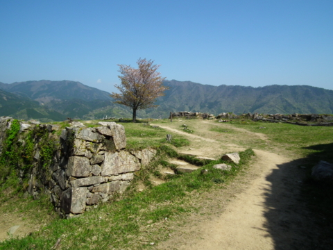 f:id:sanraku2:20100530111547j:image f:id:sanraku2:20100530111547j:image
