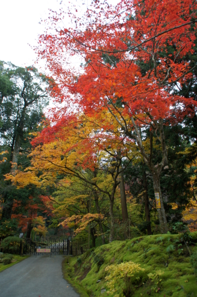 f:id:sanraku2:20111128074358j:image:h510 f:id:sanraku2:20111128074358j:image:h510