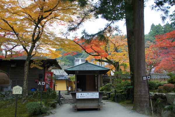 f:id:sanraku2:20111128074552j:image:w510 f:id:sanraku2:20111128074552j:image:w510