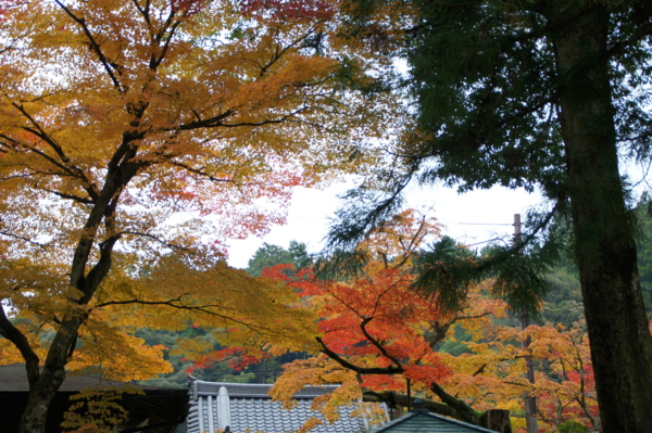 f:id:sanraku2:20111128075011j:image:w510 f:id:sanraku2:20111128075011j:image:w510