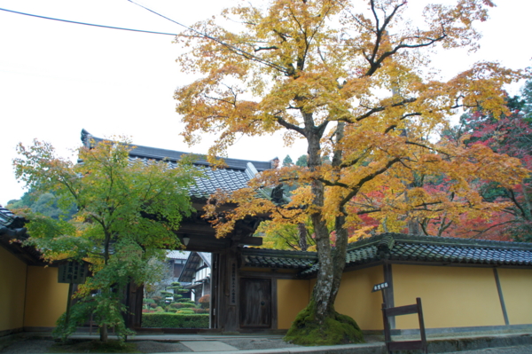 f:id:sanraku2:20111128080055j:image:w510 f:id:sanraku2:20111128080055j:image:w510