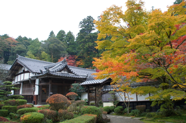 f:id:sanraku2:20111128080229j:image:w510 f:id:sanraku2:20111128080229j:image:w510