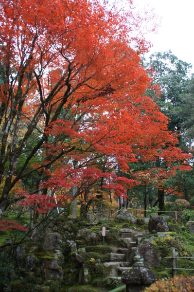 f:id:sanraku2:20111128080453j:image:h510 f:id:sanraku2:20111128080453j:image:h510