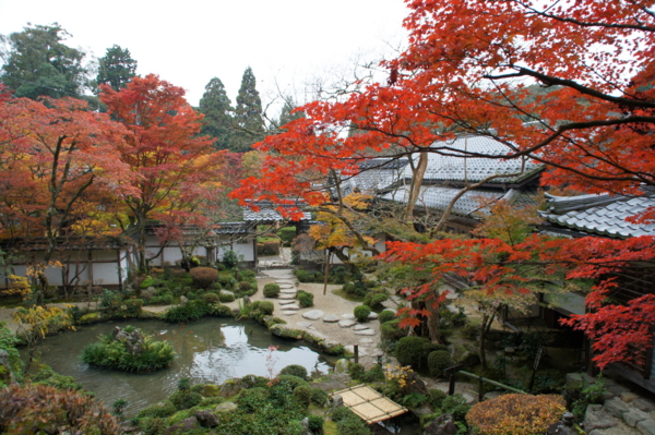f:id:sanraku2:20111128080712j:image f:id:sanraku2:20111128080712j:image