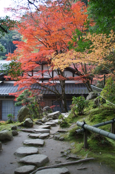 f:id:sanraku2:20111128081151j:image:h510 f:id:sanraku2:20111128081151j:image:h510