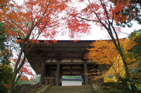 f:id:sanraku2:20111128081627j:image:w510 f:id:sanraku2:20111128081627j:image:w510