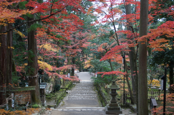 f:id:sanraku2:20111128082036j:image:w510 f:id:sanraku2:20111128082036j:image:w510