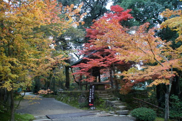 f:id:sanraku2:20111128082847j:image:w510 f:id:sanraku2:20111128082847j:image:w510
