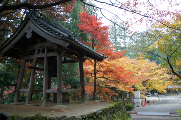 f:id:sanraku2:20111128084551j:image:w510 f:id:sanraku2:20111128084551j:image:w510