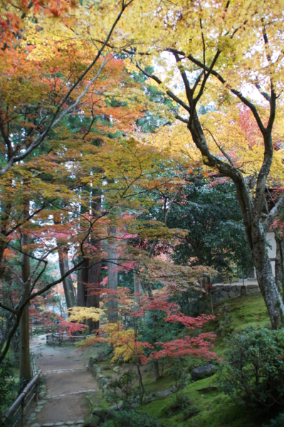 f:id:sanraku2:20111128084651j:image:h510 f:id:sanraku2:20111128084651j:image:h510