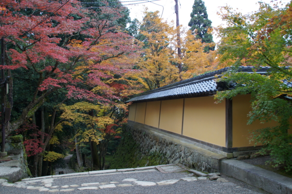 f:id:sanraku2:20111128084939j:image:w510 f:id:sanraku2:20111128084939j:image:w510