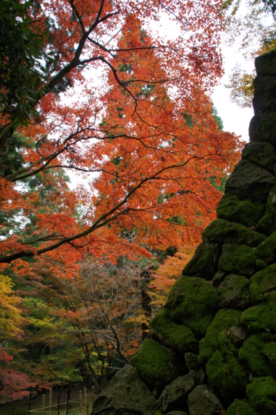 f:id:sanraku2:20111128085058j:image:h510 f:id:sanraku2:20111128085058j:image:h510