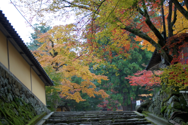 f:id:sanraku2:20111128085130j:image:w510 f:id:sanraku2:20111128085130j:image:w510