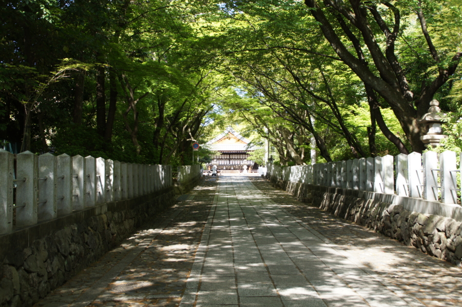 f:id:sanraku2:20120428083428j:image:w600 f:id:sanraku2:20120428083428j:image:w600