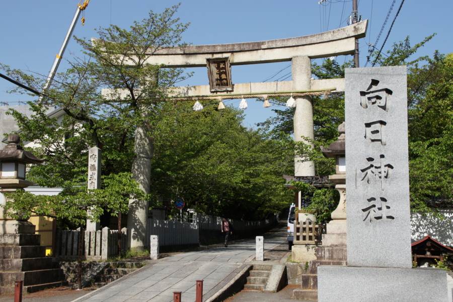 f:id:sanraku2:20120428083846j:image:w600 f:id:sanraku2:20120428083846j:image:w600