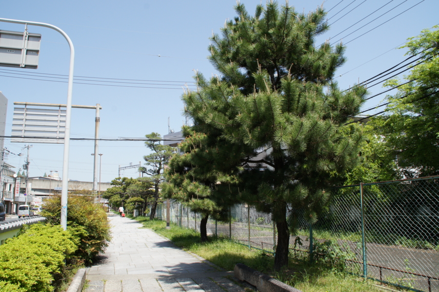f:id:sanraku2:20120428113049j:image:w600 f:id:sanraku2:20120428113049j:image:w600