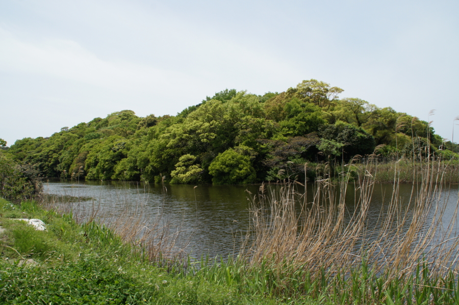 f:id:sanraku2:20120429122227j:image:w600 f:id:sanraku2:20120429122227j:image:w600