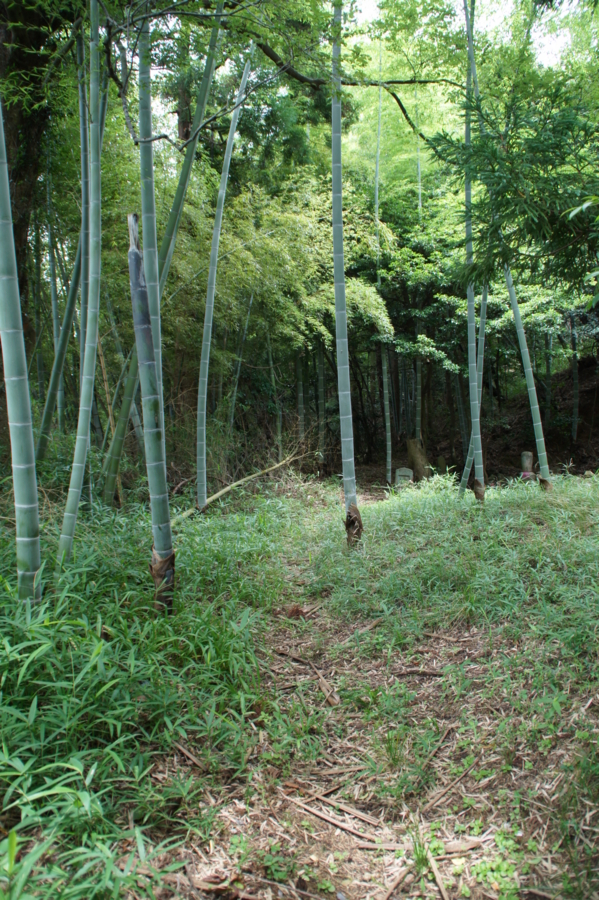 f:id:sanraku2:20120715121024j:image:h600 f:id:sanraku2:20120715121024j:image:h600
