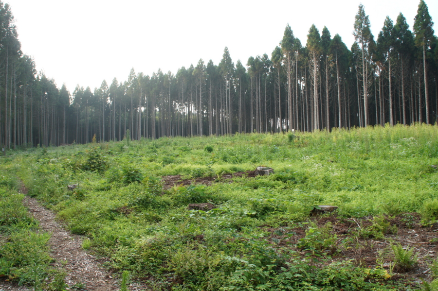 f:id:sanraku2:20120825165237j:image:w600 f:id:sanraku2:20120825165237j:image:w600