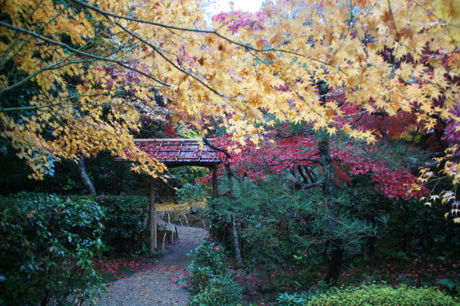 f:id:sanraku2:20121126101517j:image:w600 f:id:sanraku2:20121126101517j:image:w600