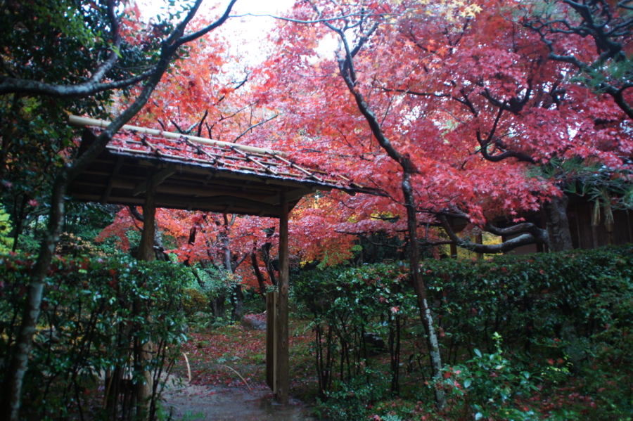 f:id:sanraku2:20121126101540j:image:w600 f:id:sanraku2:20121126101540j:image:w600