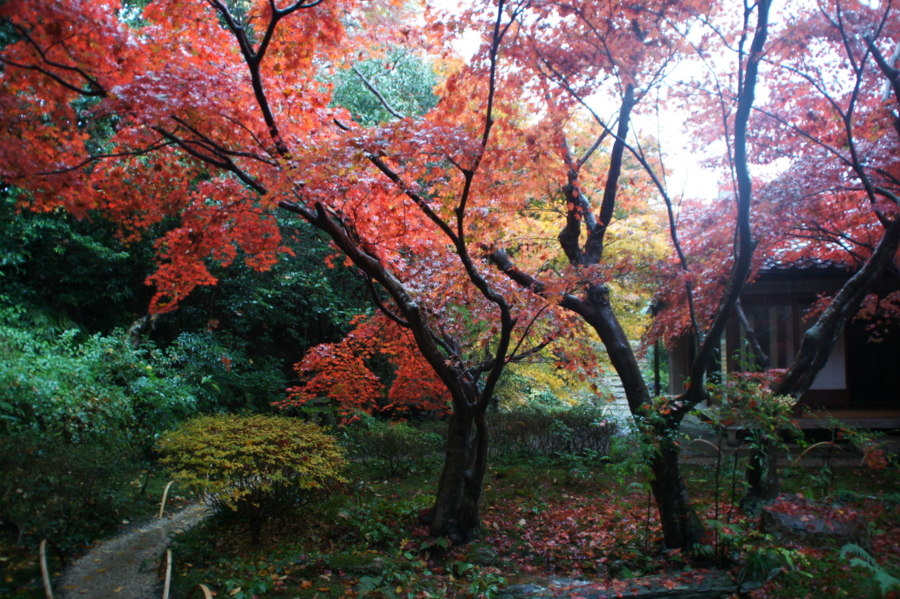 f:id:sanraku2:20121126101641j:image:w600 f:id:sanraku2:20121126101641j:image:w600