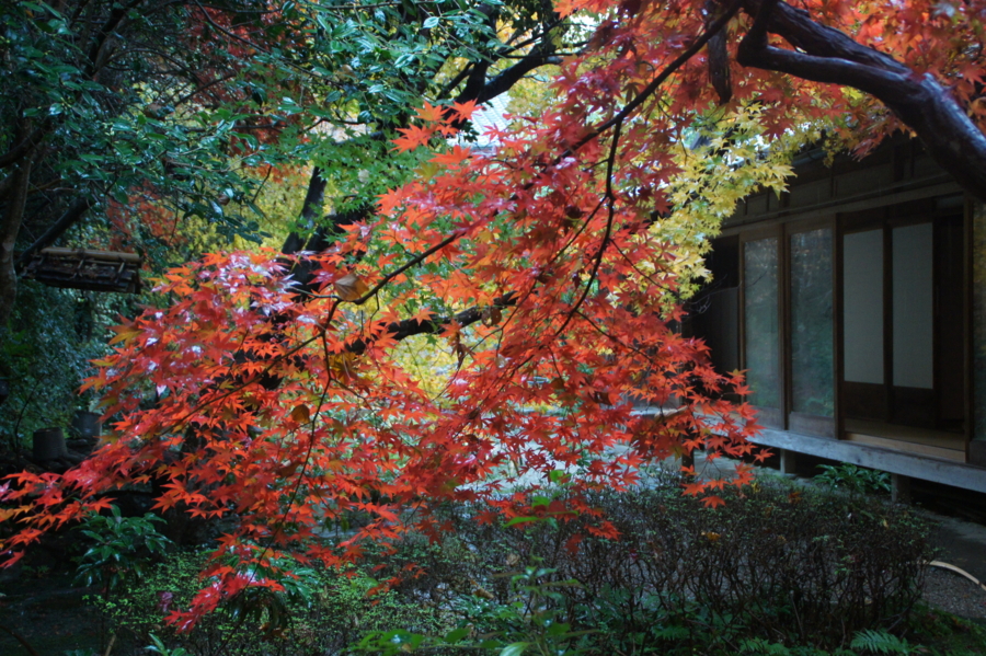 f:id:sanraku2:20121126101705j:image:w600 f:id:sanraku2:20121126101705j:image:w600